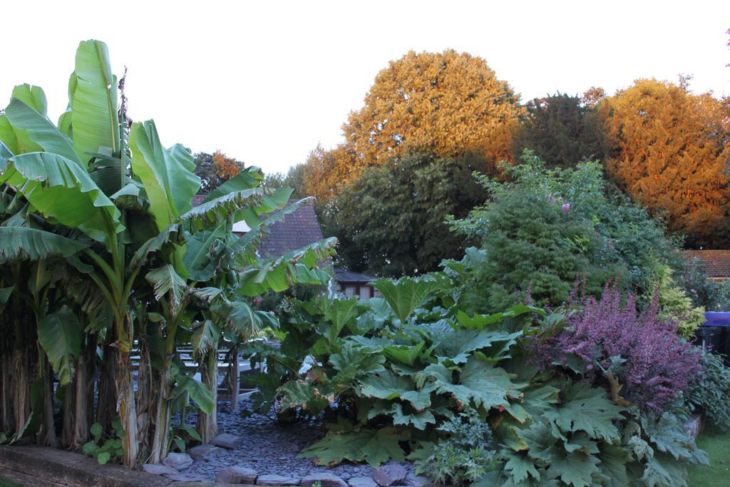 Drinkstone Park Bed And Breakfast Eksteriør billede