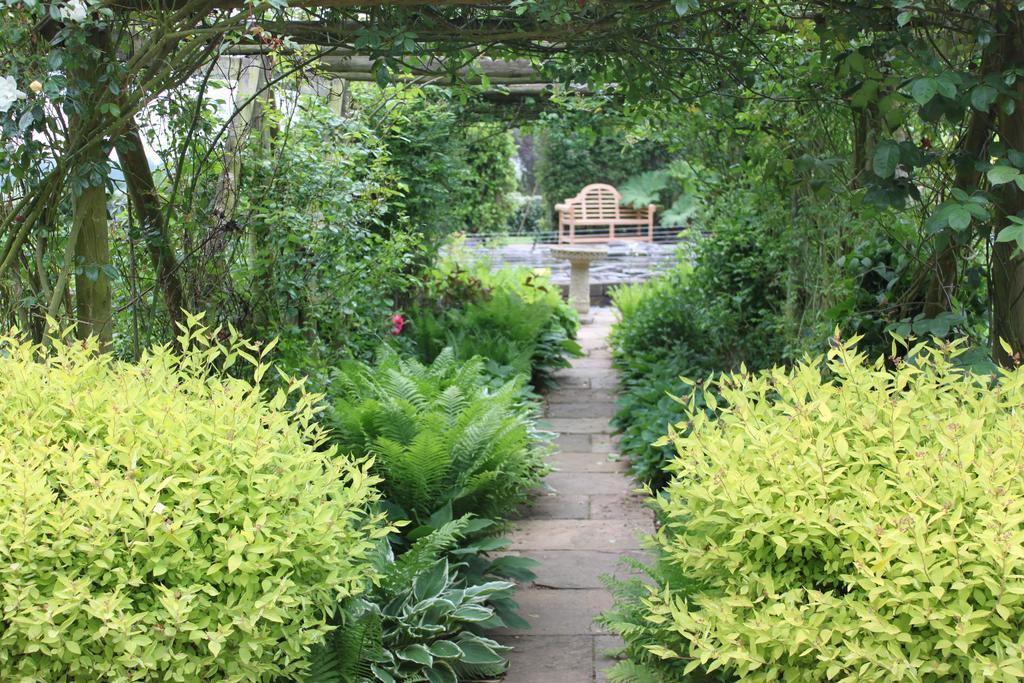 Drinkstone Park Bed And Breakfast Eksteriør billede
