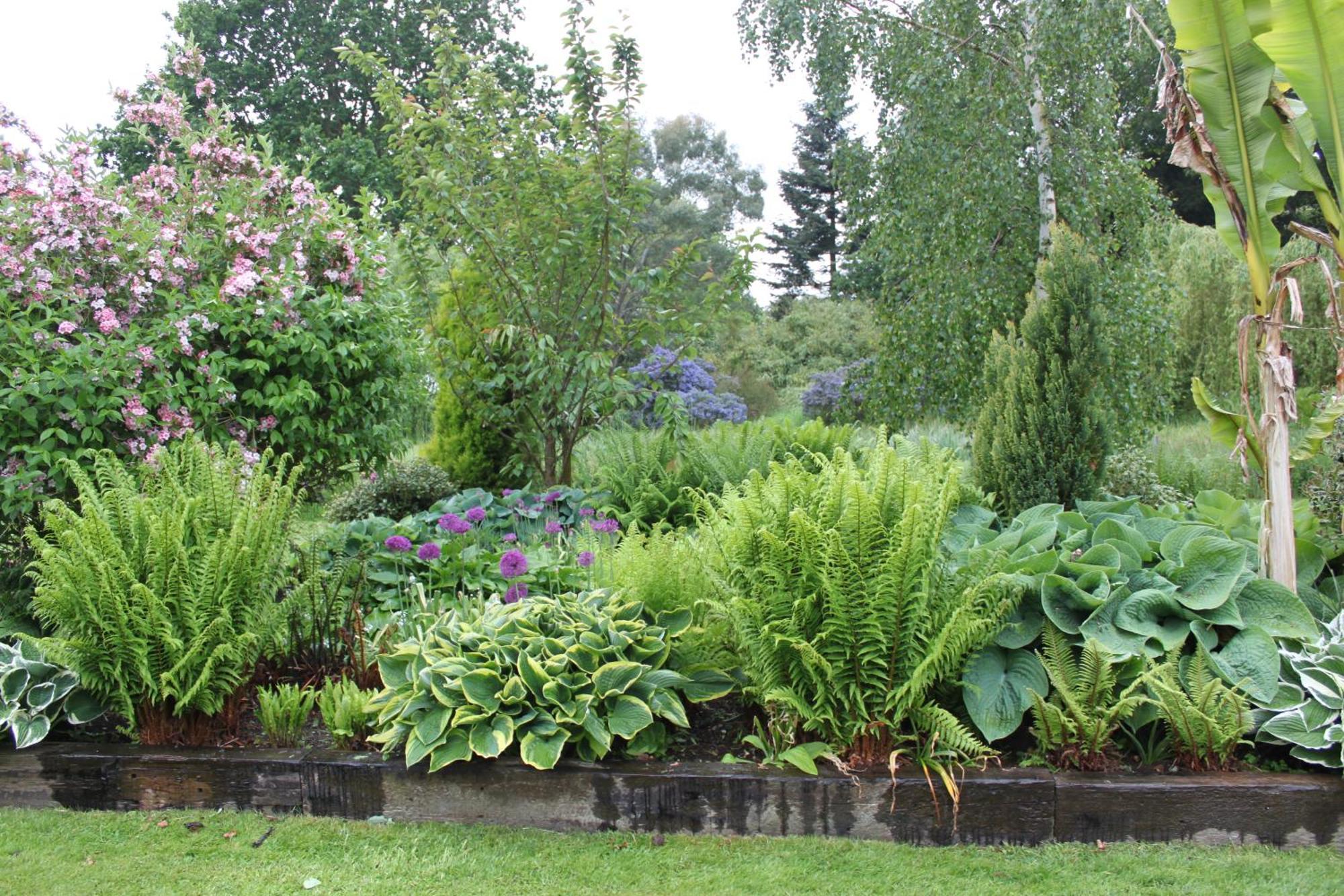 Drinkstone Park Bed And Breakfast Eksteriør billede
