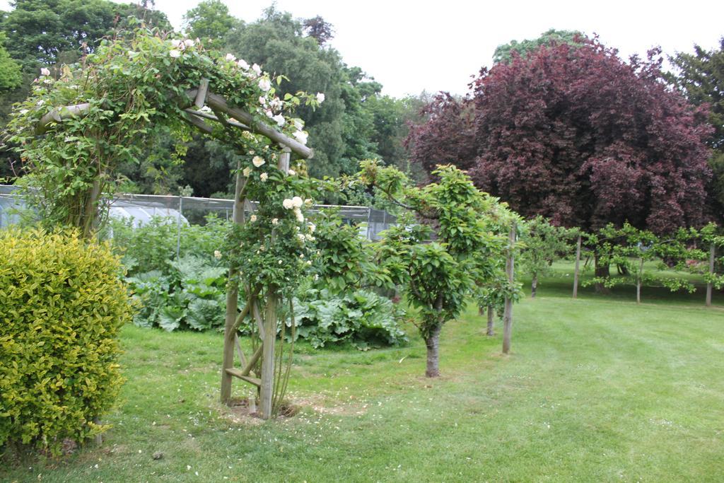 Drinkstone Park Bed And Breakfast Eksteriør billede